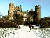 Click here to see the picture (casteireland.jpg)